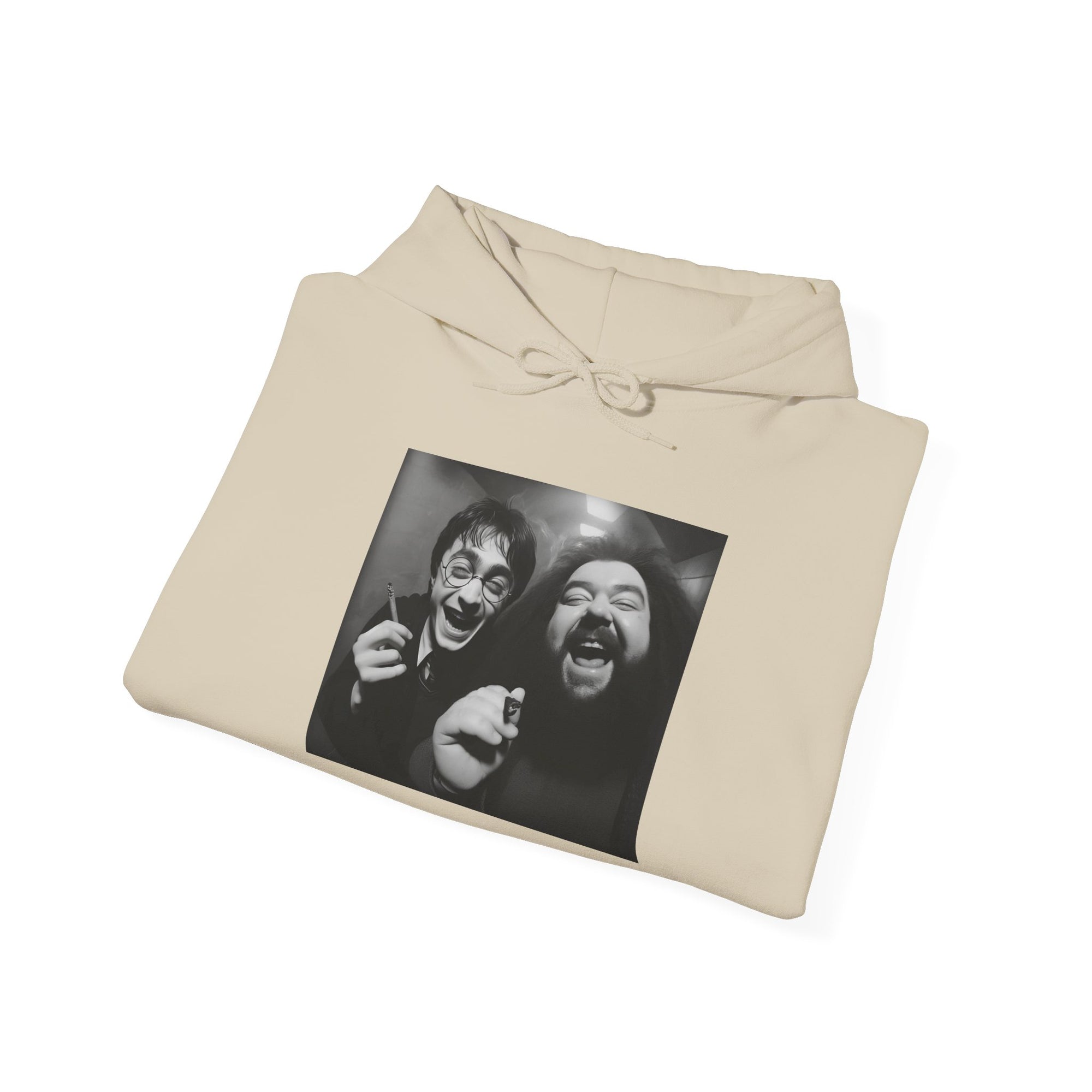 Harry & Laughter in the Candlelight Corridor Hooded Sweatshirt