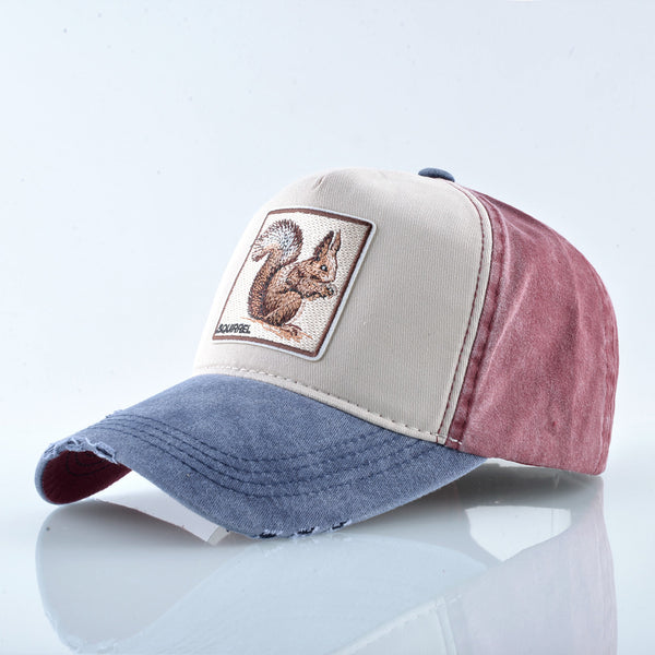 Embroidered baseball cap