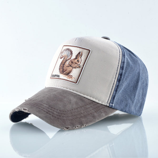 Embroidered baseball cap