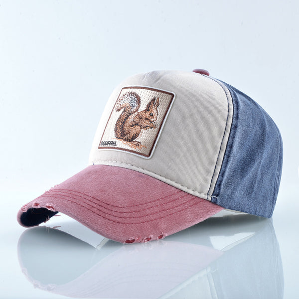 Embroidered baseball cap