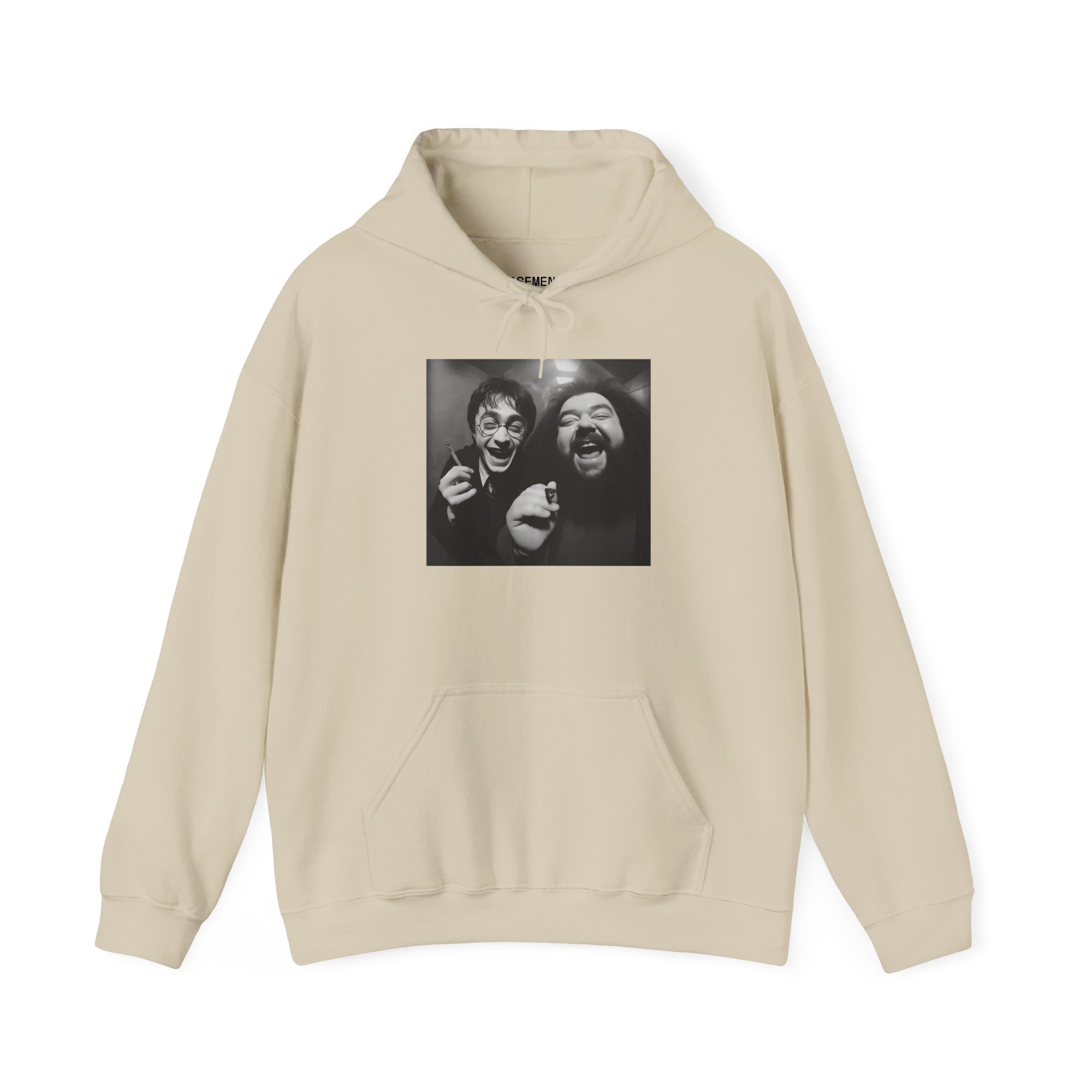 Harry & Laughter in the Candlelight Corridor Hooded Sweatshirt