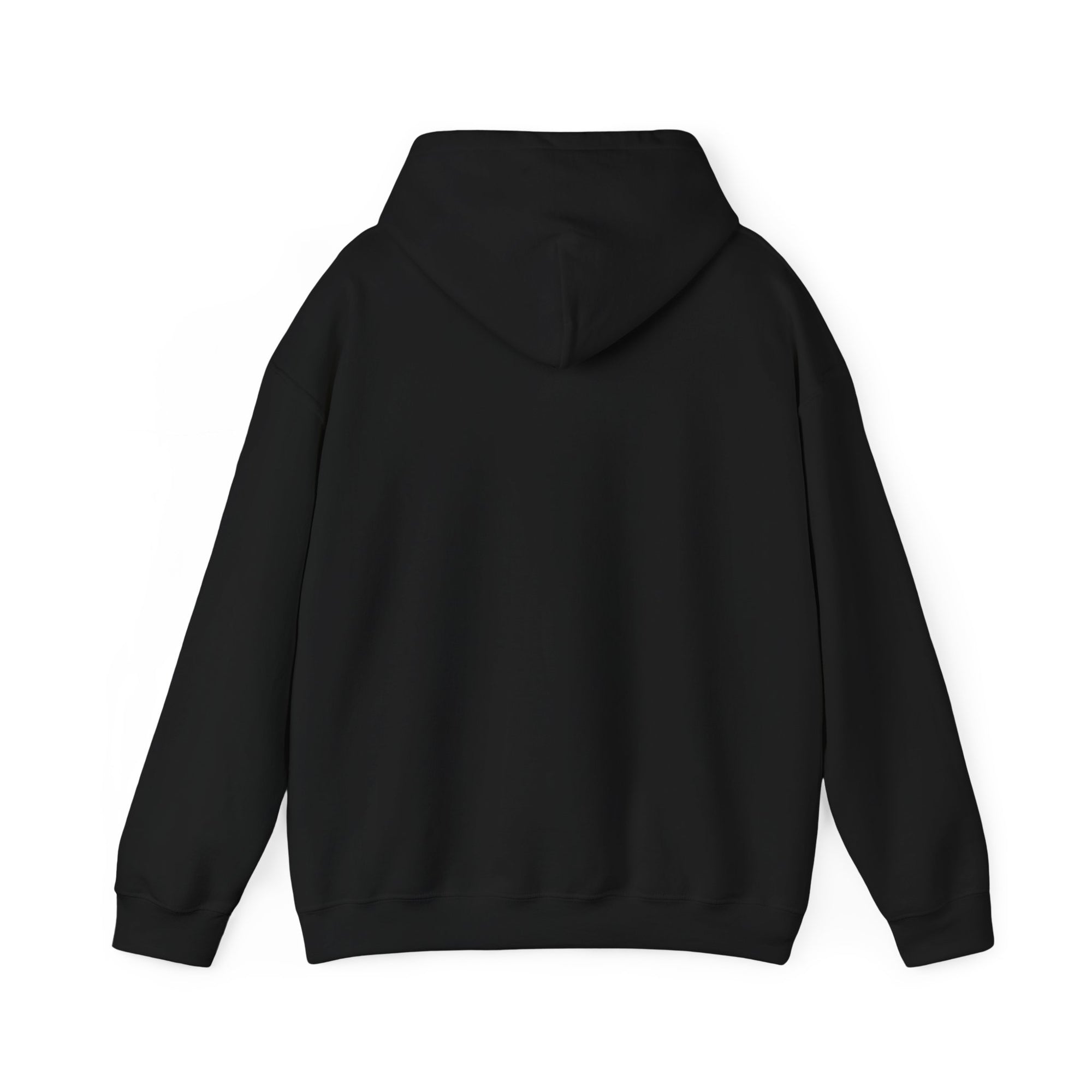 Harry & Laughter in the Candlelight Corridor Hooded Sweatshirt