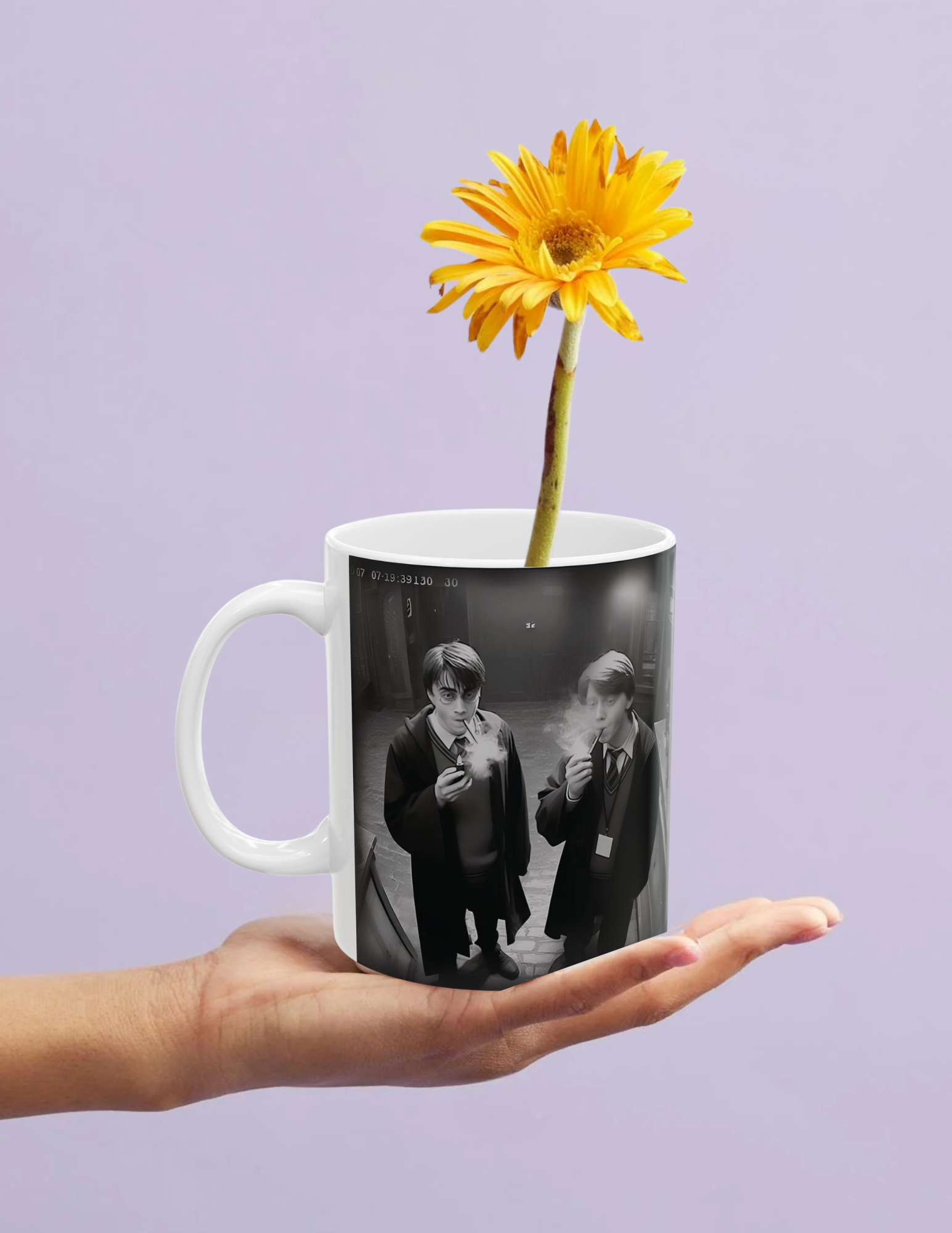 Harry and Ron Smoking Mug